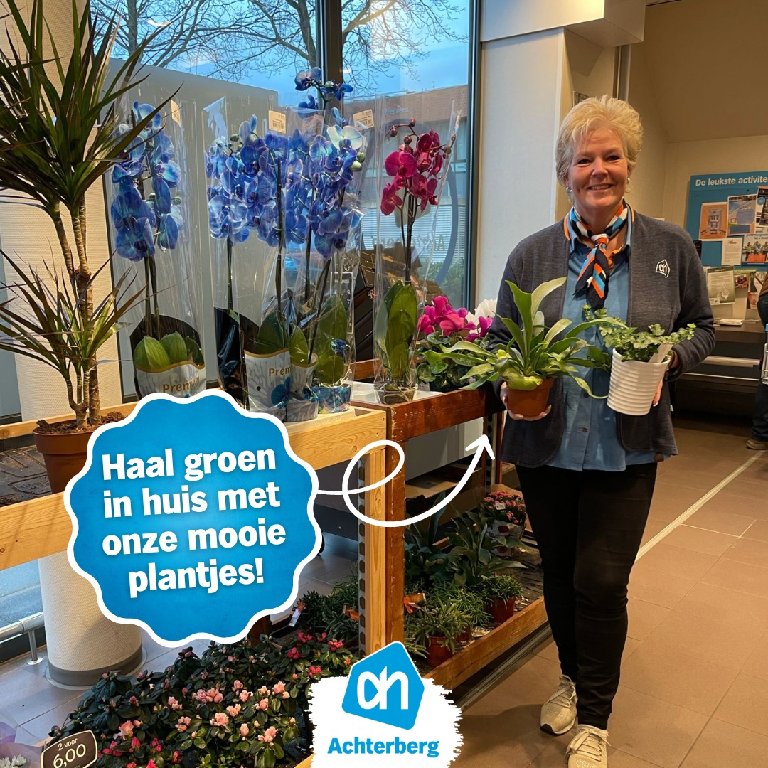 Haal groen in huis met onze mooie plantjes!